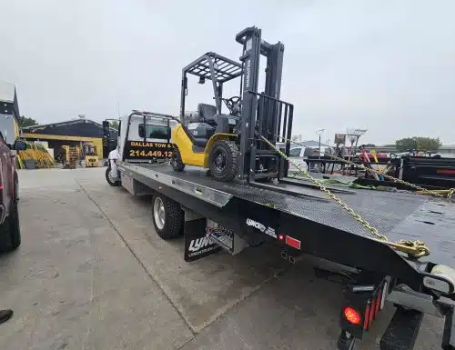 20231104_093155-scaled-500x385