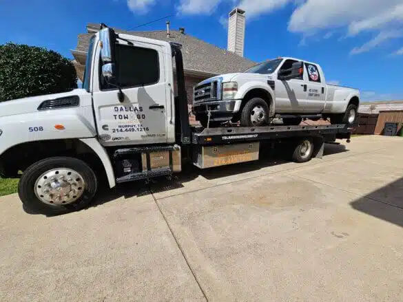 20240313_123050-585x439